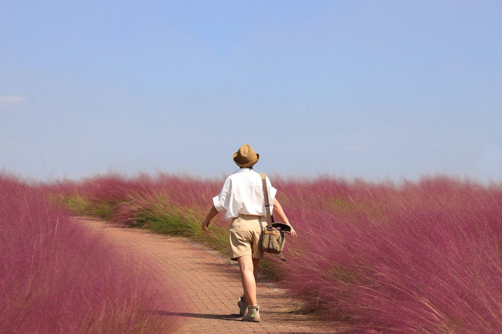 travel without money